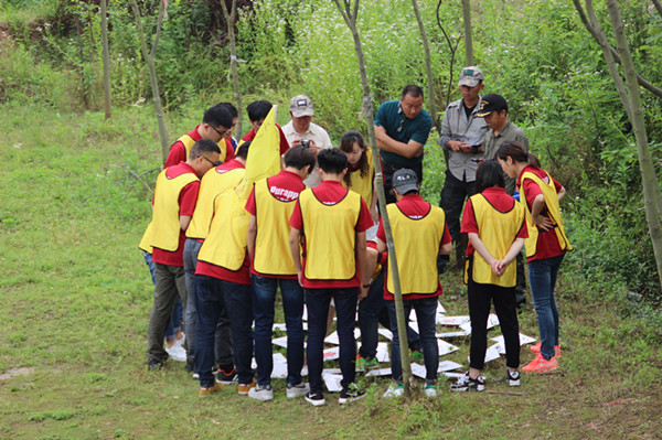 無錫紫蘋果裝飾