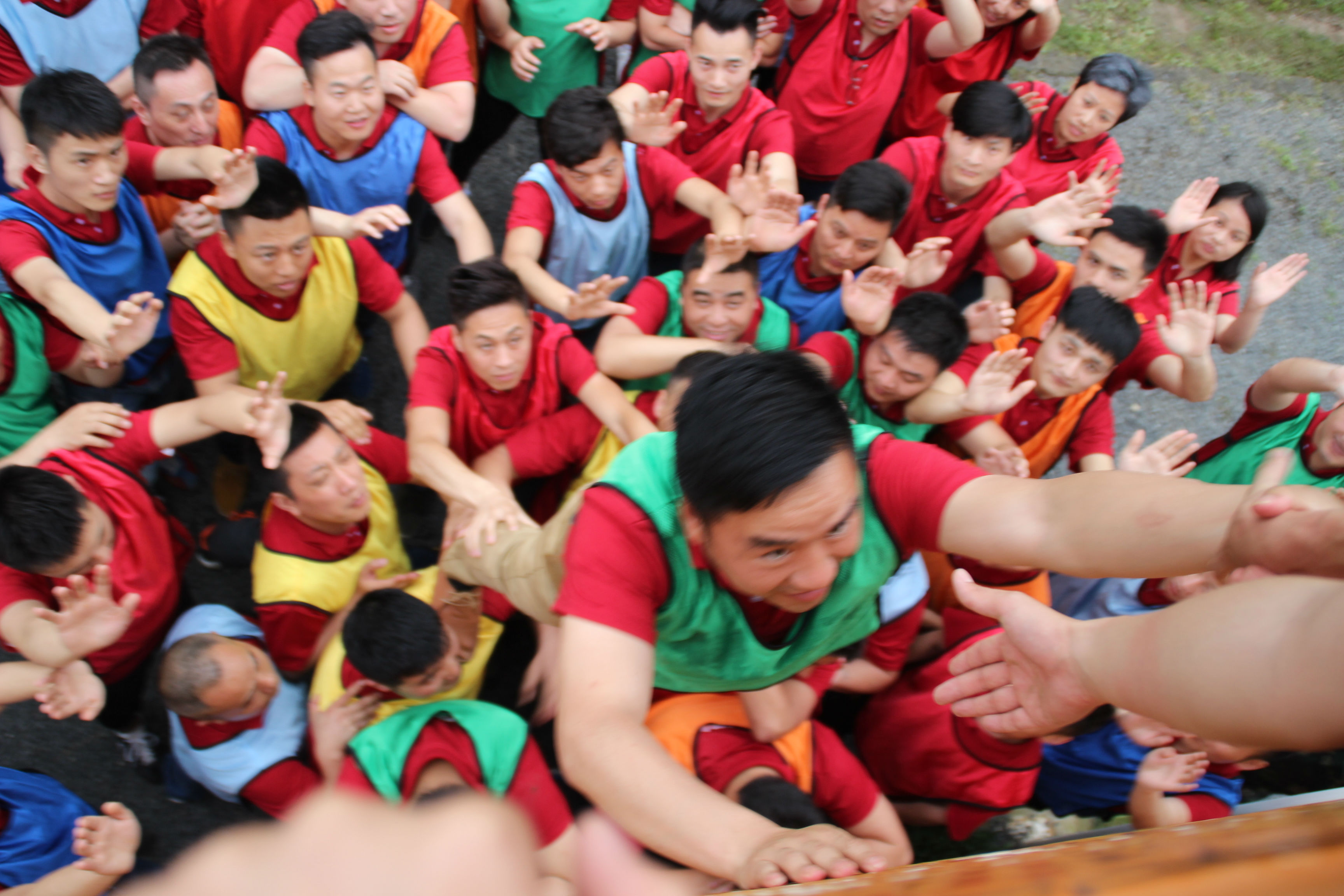 無錫紫蘋果裝飾