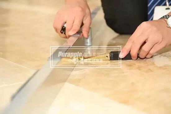 無錫紫蘋果裝飾