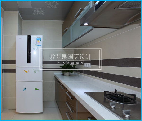 無錫紫蘋果裝飾