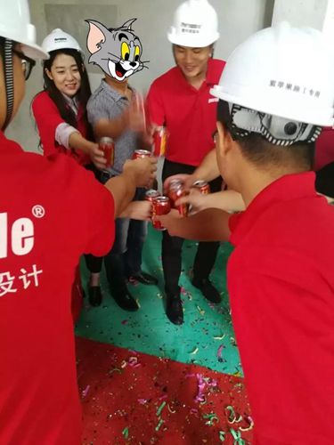 無錫紫蘋果裝飾