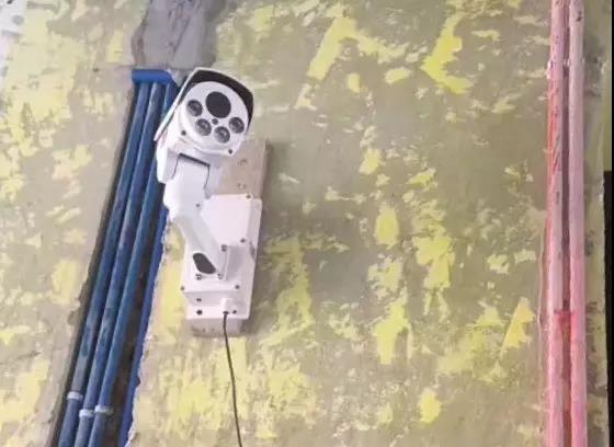 無(wú)錫紫蘋(píng)果裝飾