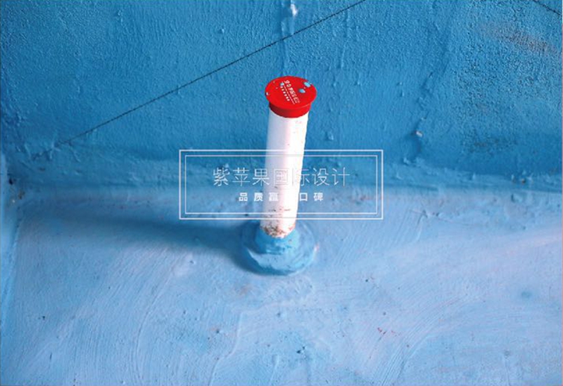 紫蘋(píng)果國(guó)際設(shè)計(jì) (2).jpg