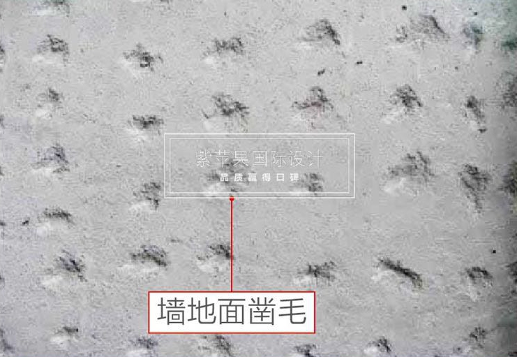 無錫紫蘋果裝飾 (4).jpg