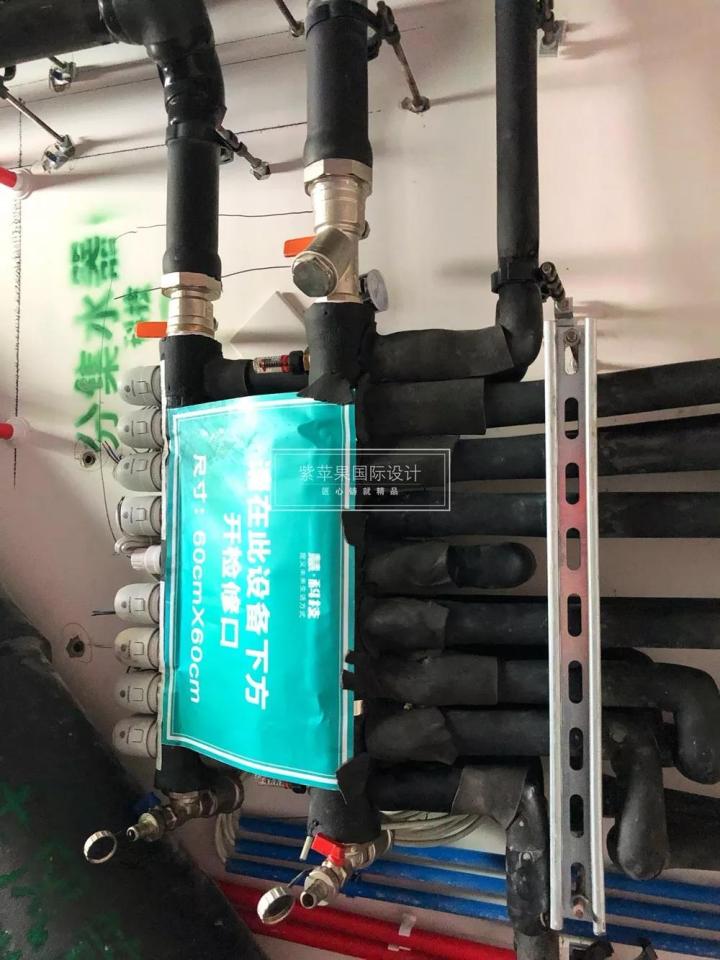 無錫紫蘋果裝飾