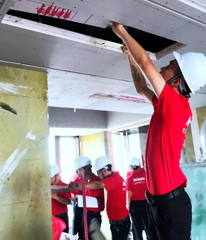 無錫紫蘋果裝飾